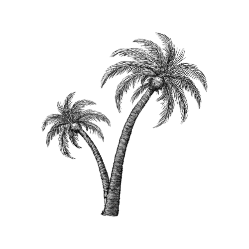 Tropical Vibe